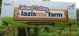 Soft Launching Farm di Magetan Lazismu Dukung Program Ketersediaan Ternak Sapi Bermutu Guna Penguatan Ketahanan Pangan